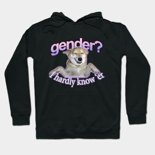 Gender I Hardly Know Er Meme Hoodie